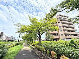 セザール京王堀之内
