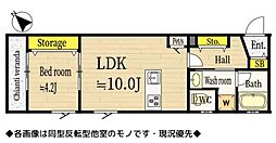 WHITE　STONE／ホワイトストーン