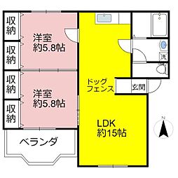 グランドハーティス2号館 103