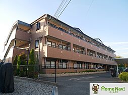 Sunrise Fuji　（サンライズ・フジ）