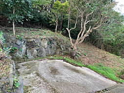 伊東市吉田（三の原）