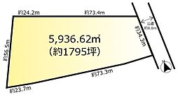 柏市酒井根の土地