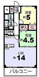 衣笠グリーンハイツ