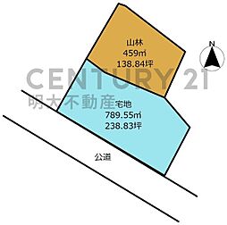 宮崎市大字金崎・土地