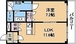 アバンギャルド