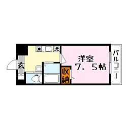 ピュアドミトリーシミズ