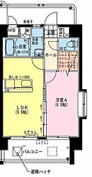 ヴィスコンティ 506