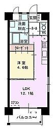 プログランツ