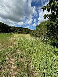 佐土原町東上那珂土地