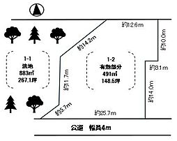 有効面積　148坪　南道路　建築条件無し