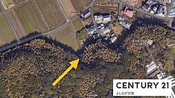 八幡西区楠橋　山林