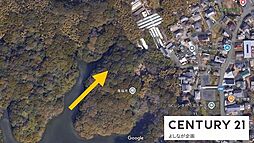 八幡西区楠橋 山林