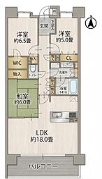 ビクトリアアネーロ大宮