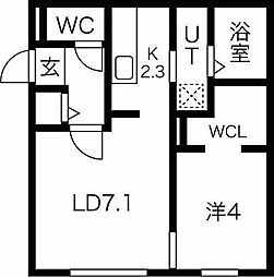 COLZA  shiroishi(コルザシロイシ)