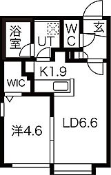 CROWN LEO(クラウンレオ)