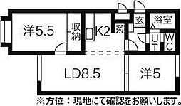 αNEXT札幌第一