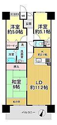 ルイシャトレ金剛