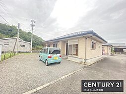 アモール 1
