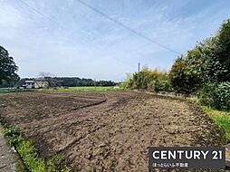 日豊本線西都城駅から徒歩42分