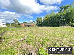 お家も庭もガレージも入る広い敷地