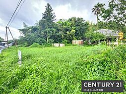 国道221号線沿いの土地で、事業用地としていかがでしょうか