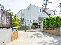 茅ヶ崎市ひばりが丘