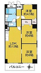 ハイマートすみれ