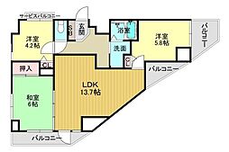 コスモ紫野