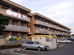 スパニッシュコート千波 A棟 105号室