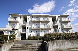 パティオマンション II 303号室