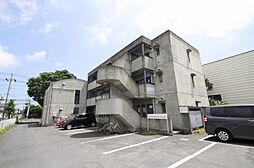 セルペント 203号室