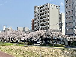 プレスト水戸中央 403号室