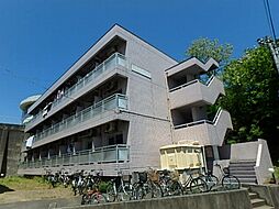 アネックスマンション白梅 A棟 205号室