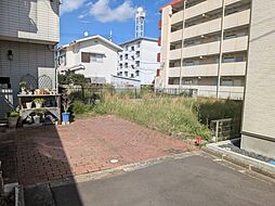 水戸市白梅