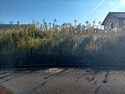 石岡市柿岡 No.7