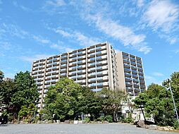 ライオンズ水戸グランフォート 501号室