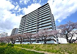 プラウド水戸桜川 203号室