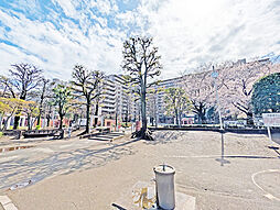 シーズウィッシュ志木