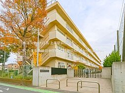 さいたま市桜区大字神田 C号地