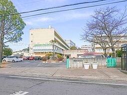 さいたま市見沼区大字中川 A号地
