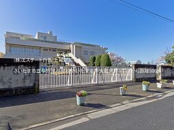 さいたま市中央区大戸3丁目 1号地