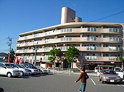 フェリス・フェンテ 202