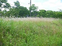 売土地　河内長野市　清見台