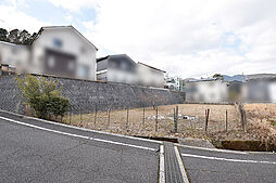 五日市町大字下河内 土地