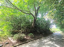 伊東市富戸の土地