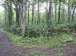 野尻高原大学村、土地961平米