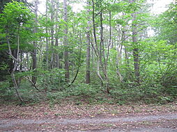 野尻高原大学村、土地1043平米