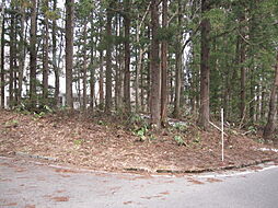 上水内郡飯綱町大字川上の土地