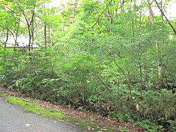 黒姫南麓別荘地