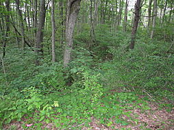 野尻高原大学村、土地1079平米